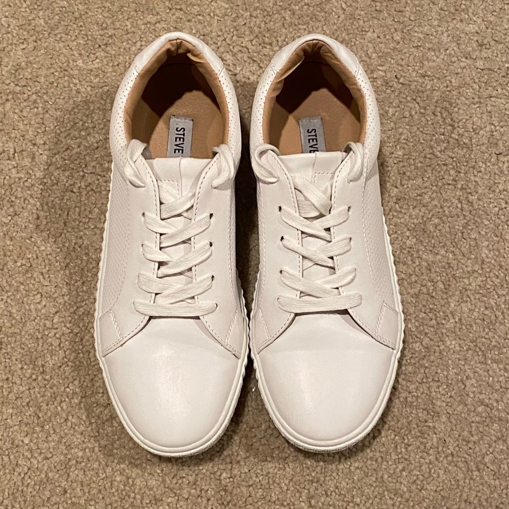 Steve Madden Sneakers